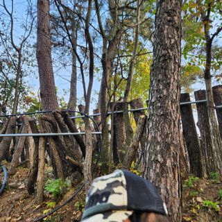 황지유님의 11월 내 작물 자랑하기 · 참여글 작성글 사진