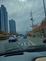 팜모닝 배추·일상 게시글 이미지