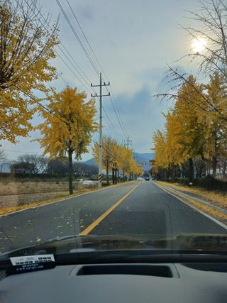 이상애초보농업님의 배추 · 일상 작성글 사진