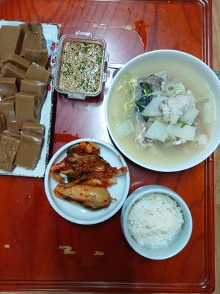 이상애초보농업님의 배추 · 일상 작성글 사진