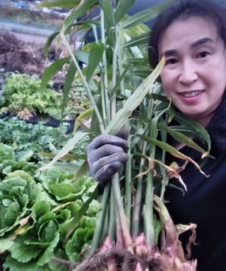 스마일00님의 11월 내 작물 자랑하기 · 참여글 작성글 사진