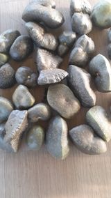 팜모닝 11월 내 작물 자랑하기·참여글 게시글 이미지