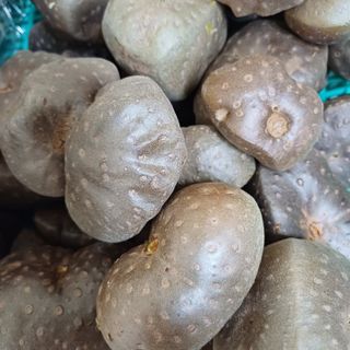 봉덕팜님의 자유주제 · 자유게시판 작성글 사진