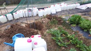 오정식님의 양파 · 영농일지 작성글 사진