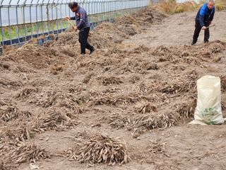 이창신님의 기타작물 · 자유게시판 작성글 사진