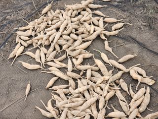 이창신님의 기타작물 · 자유게시판 작성글 사진