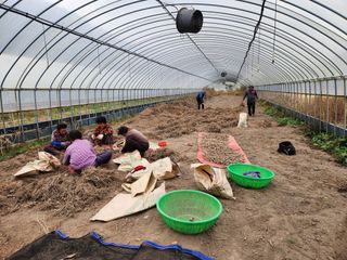 이창신님의 기타작물 · 자유게시판 작성글 사진