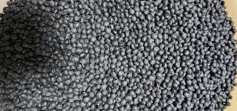 장터 상품 [서리태 1kg] 썸네일