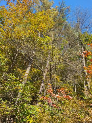 전재문님의 자유주제 · 자유게시판 작성글 사진