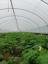 팜모닝 11월 내 작물 자랑하기·참여글 게시글 이미지