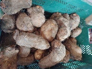 주재순님의 11월 내 작물 자랑하기 · 참여글 작성글 사진