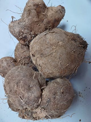 주재순님의 11월 내 작물 자랑하기 · 참여글 작성글 사진