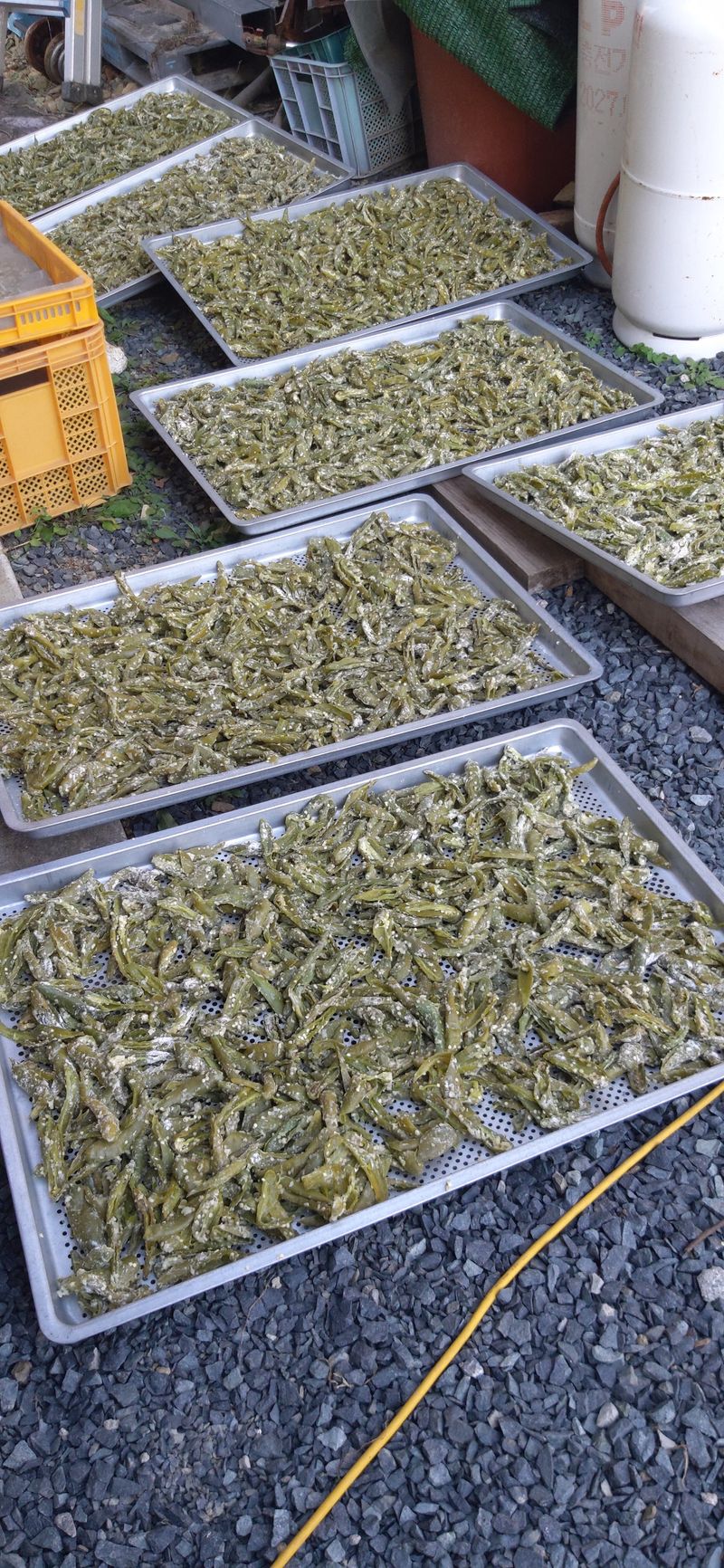 장터 상품 [고추부각 1kg] 썸네일