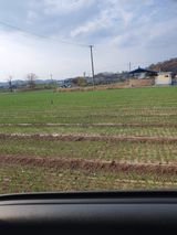 팜모닝 우리동네·동네수다 게시글 이미지