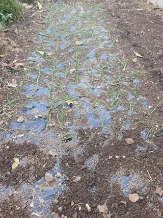 김영복님의 우리동네 · 동네수다 작성글 사진