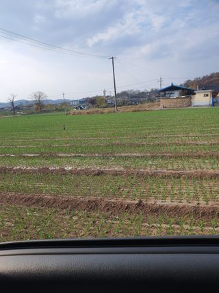 김영복님의 11월 내 작물 자랑하기 · 참여글 작성글 사진