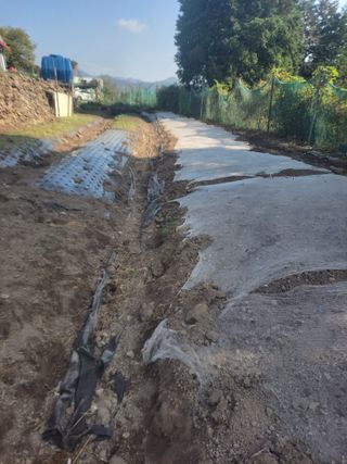 이세순님의 11월 내 작물 자랑하기 · 참여글 작성글 사진