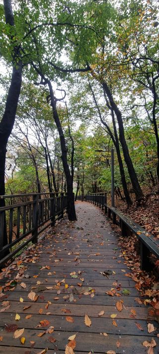 달방구님의 자유주제 · 자유게시판 작성글 사진