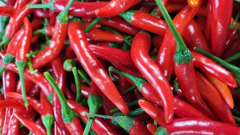 장터 상품 [동남아고추,날개달린콩] 썸네일