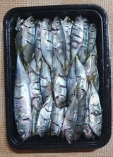 팜모닝 자유주제·자유게시판 게시글 이미지