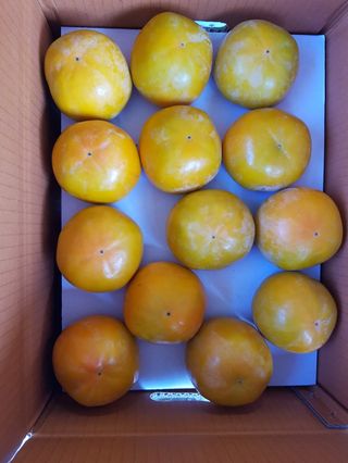 현암농원님의 11월 내 작물 자랑하기 · 참여글 작성글 사진