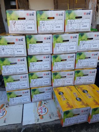 현암농원님의 11월 내 작물 자랑하기 · 참여글 작성글 사진