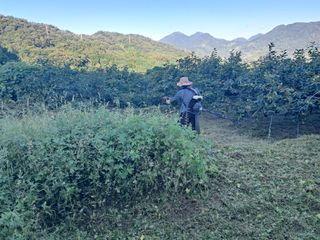 현암농원님의 11월 내 작물 자랑하기 · 참여글 작성글 사진