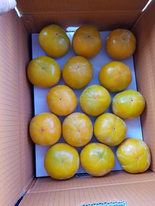 현암농원님의 11월 내 작물 자랑하기 · 참여글 작성글 사진