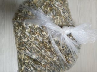 참깨20147님의 11월 내 작물 자랑하기 · 참여글 작성글 사진