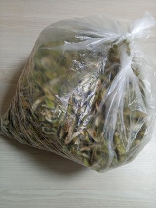 참깨20147님의 11월 내 작물 자랑하기 · 참여글 작성글 사진