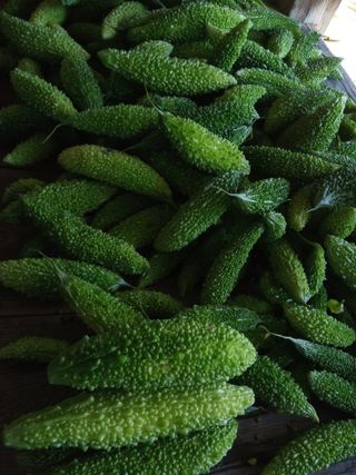 참깨20147님의 11월 내 작물 자랑하기 · 참여글 작성글 사진