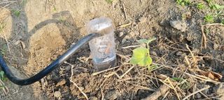 벤틀리 님의 11월 내 작물 자랑하기 · 참여글 작성글 사진