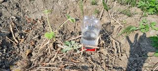 벤틀리 님의 11월 내 작물 자랑하기 · 참여글 작성글 사진