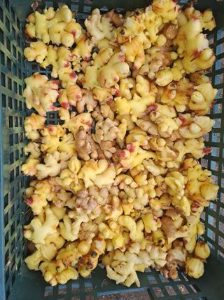 곽해영님의 기타작물 · 자유게시판 작성글 사진