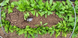 김중언님의 기타작물 · 자유게시판 작성글 사진