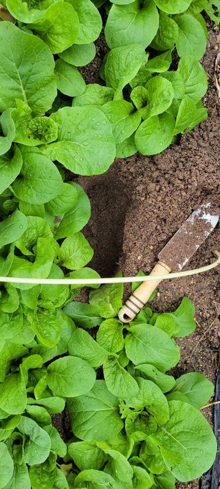 김중언님의 기타작물 · 자유게시판 작성글 사진