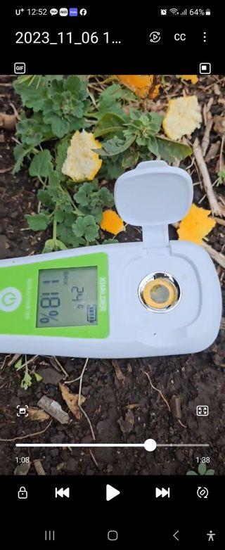 이병현님의 귤 · 수확 작성글 사진