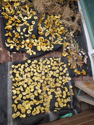 이현상님의 자유주제 · 자유게시판 작성글 사진