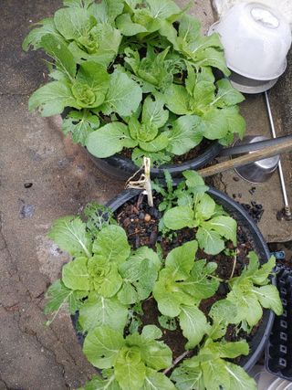 이현상님의 자유주제 · 자유게시판 작성글 사진