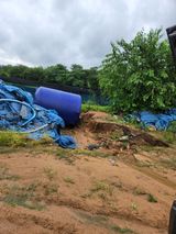 팜모닝 팜모닝·출석 게시글 이미지