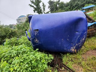 김현화님의 팜모닝 · 출석 작성글 사진