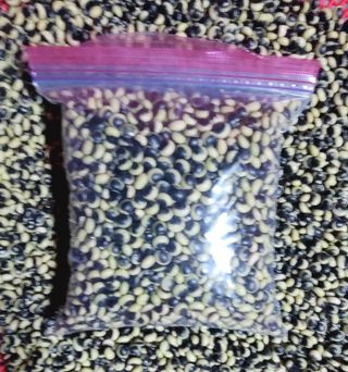 산조아자연인님의 11월 내 작물 자랑하기 · 참여글 작성글 사진