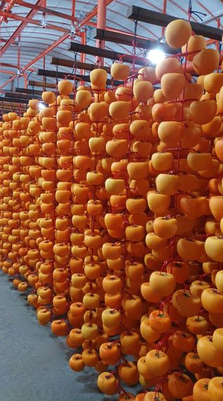 재우네달달농장님의 11월 내 작물 자랑하기 · 참여글 작성글 사진