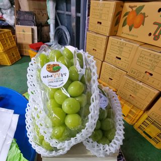 재우네달달농장님의 11월 내 작물 자랑하기 · 참여글 작성글 사진