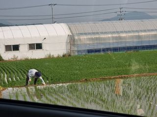 재우네달달농장님의 11월 내 작물 자랑하기 · 참여글 작성글 사진
