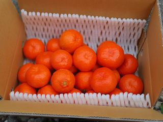 선물차롱님의 작성글 사진