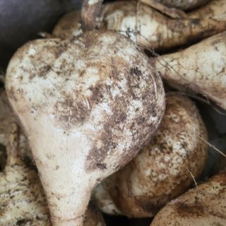 오정석님의 11월 내 작물 자랑하기 · 참여글 작성글 사진