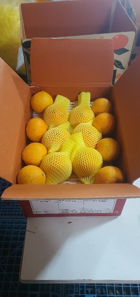 오기석님의 장터 판매 상품 [하우스 황금향] 첨부 사진