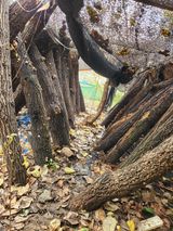 팜모닝 11월 내 작물 자랑하기·참여글 게시글 이미지