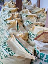 팜모닝 콩·자유게시판 게시글 이미지